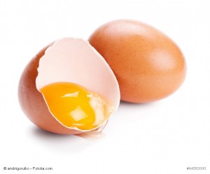 High - Protein - Diäten und ihre Auswirkungen auf deinen Körper, neue Studie