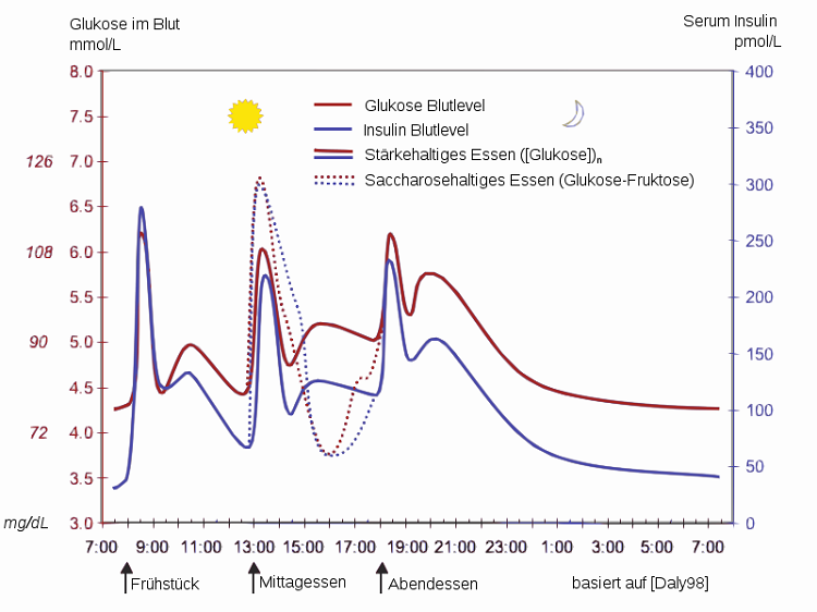 Glucose-insulin-day-german_svg