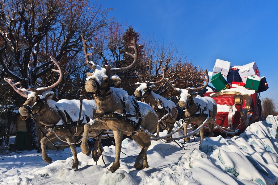 Zum 3. Advent: Die Geschichte von Rudolph