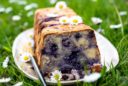 Blaubeer-Joghurt-Kuchen