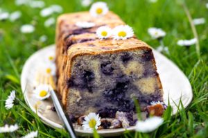 Blaubeer-Joghurt-Kuchen