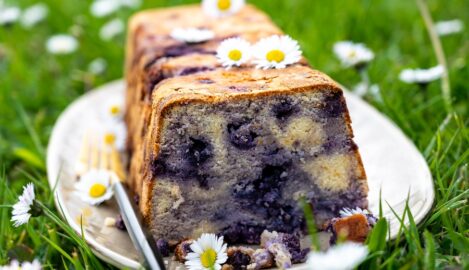 Blaubeer-Joghurt-Kuchen