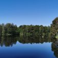 Buketlist Teil 1: Waldbaden: Natur als Therapie