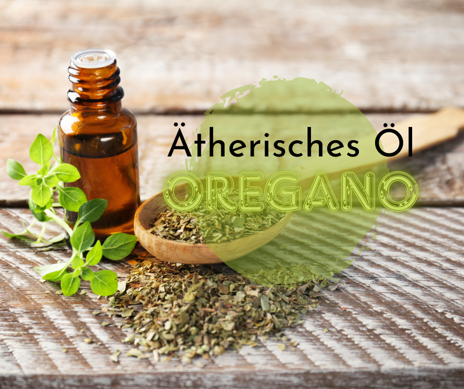 Ätherisches Öl Oregano