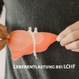 Bedeutung der Leberentlastung durch LCHF