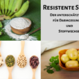 Resistente Stärke Der unterschätzte Star für Darmgesundheit und Stoffwechsel