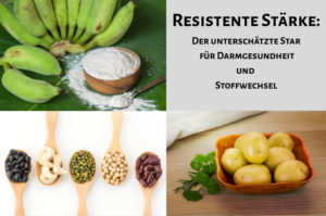 Resistente Stärke Der unterschätzte Star für Darmgesundheit und Stoffwechsel
