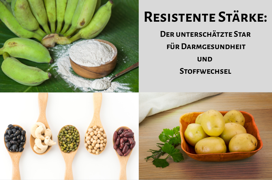 Resistente Stärke Der unterschätzte Star für Darmgesundheit und Stoffwechsel