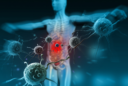 Die drei Säulen des Immunsystems