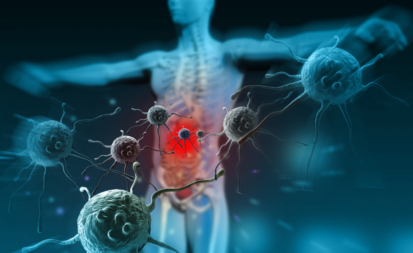 Die drei Säulen des Immunsystems