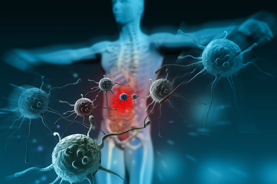 Die drei Säulen des Immunsystems