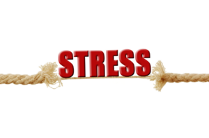 Stressmanagement für innere Ruhe