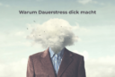 Warum Dauerstress dick macht