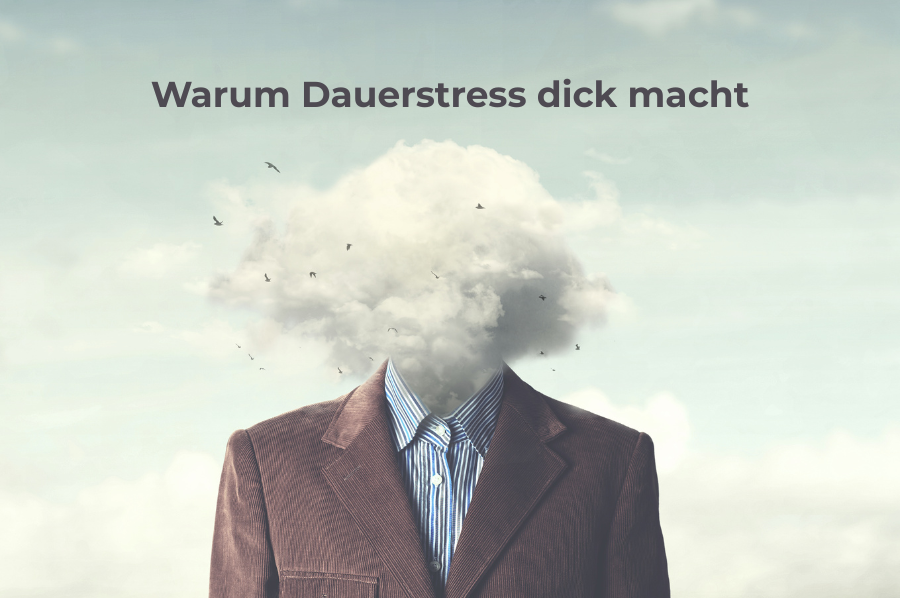 Warum Dauerstress dick macht