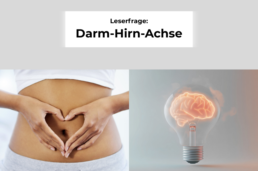 Darm-Hirn-Achse