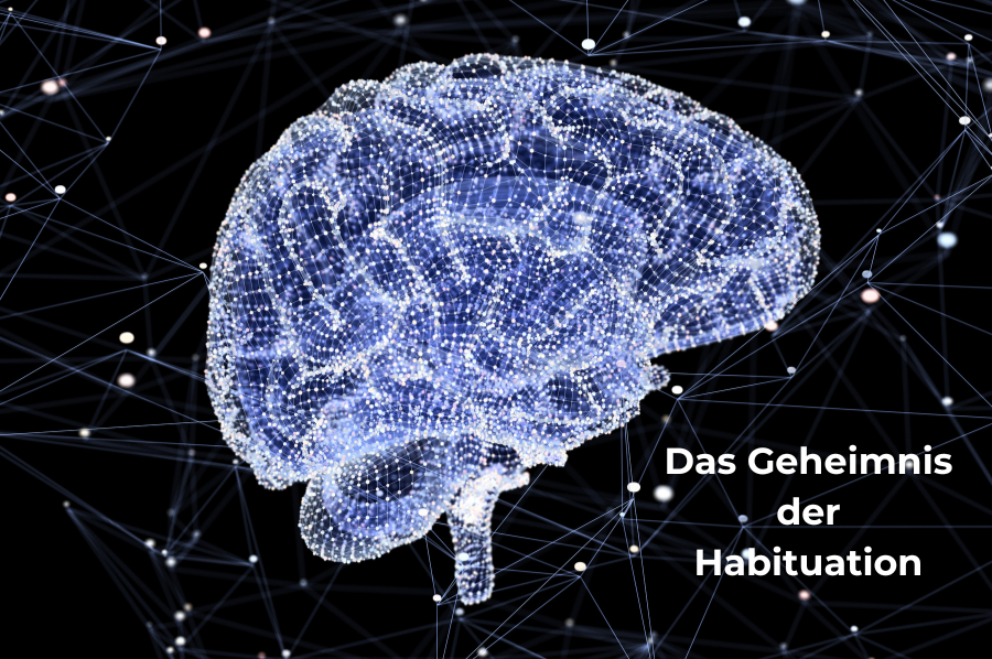 Habituation und Übergewicht
