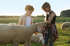 Hormesis - Anne und Ben