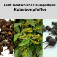 Kubebenpfeffer