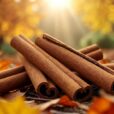 Hausapotheke Zimt: Dein natürliches Tool für Herbst und Winter