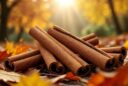 Hausapotheke Zimt: Dein natürliches Tool für Herbst und Winter