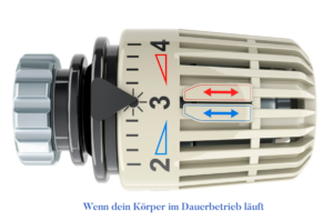 Mitochondrien Stress