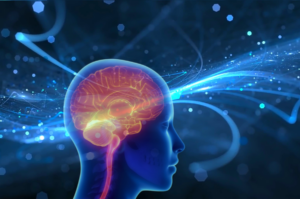 Keto-Ernährung bei Epilepsie